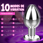 Soren - Unisex Metal Casing Anal Vibrator, 10 Vibration Modes