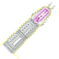 Night Sakura Transparent Crystal Vibration Wolf Teeth Silicone Penis Extension Set Couple Sexual Co Vibration Adult Sex Products